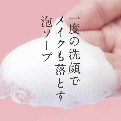 W洗顔不要 プラスリストア クレンジングソープ泡 ホームケア (洗顔料