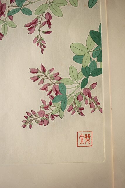 河原崎奨堂 木版画 芸艸堂版【紫陽花/花菖蒲/萩/山茶花】4枚 Z401