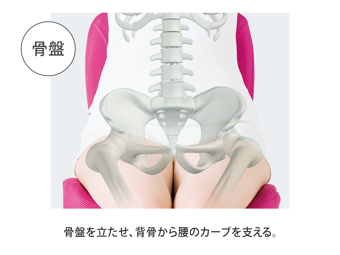 pinto 置くだけラクッションビューティー Deco（専用カバー