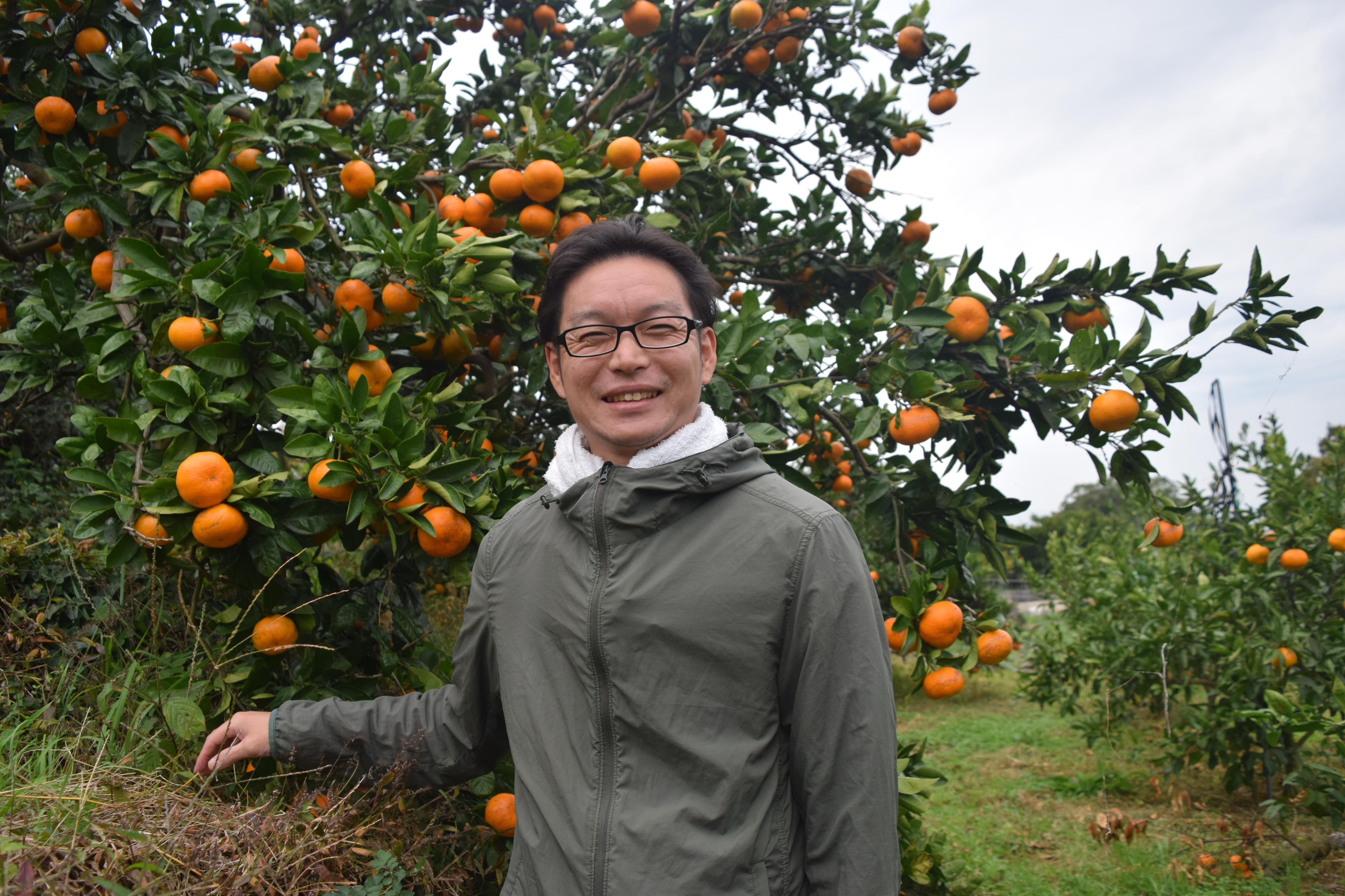 BUSAIKU WINE 〔720ml〕 みかん100％プレミアムみかんワイン「右田柑橘