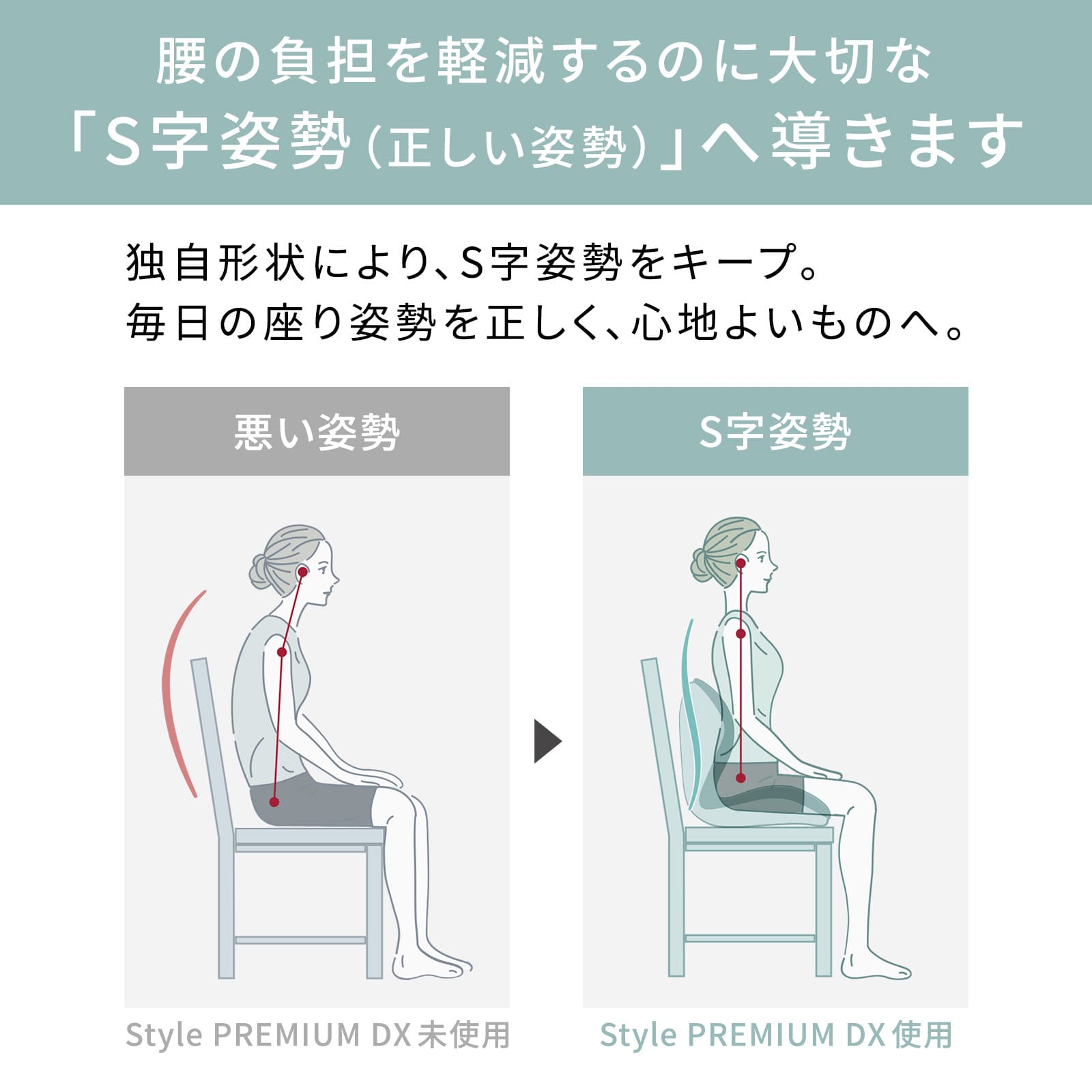 スタイルプレミアム デラックス 骨盤 猫背 姿勢 送料無料 クッション