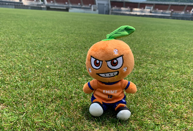 ウェブショップ新グッズ追加のお知らせ | 愛媛FC公式サイト【EHIME FC