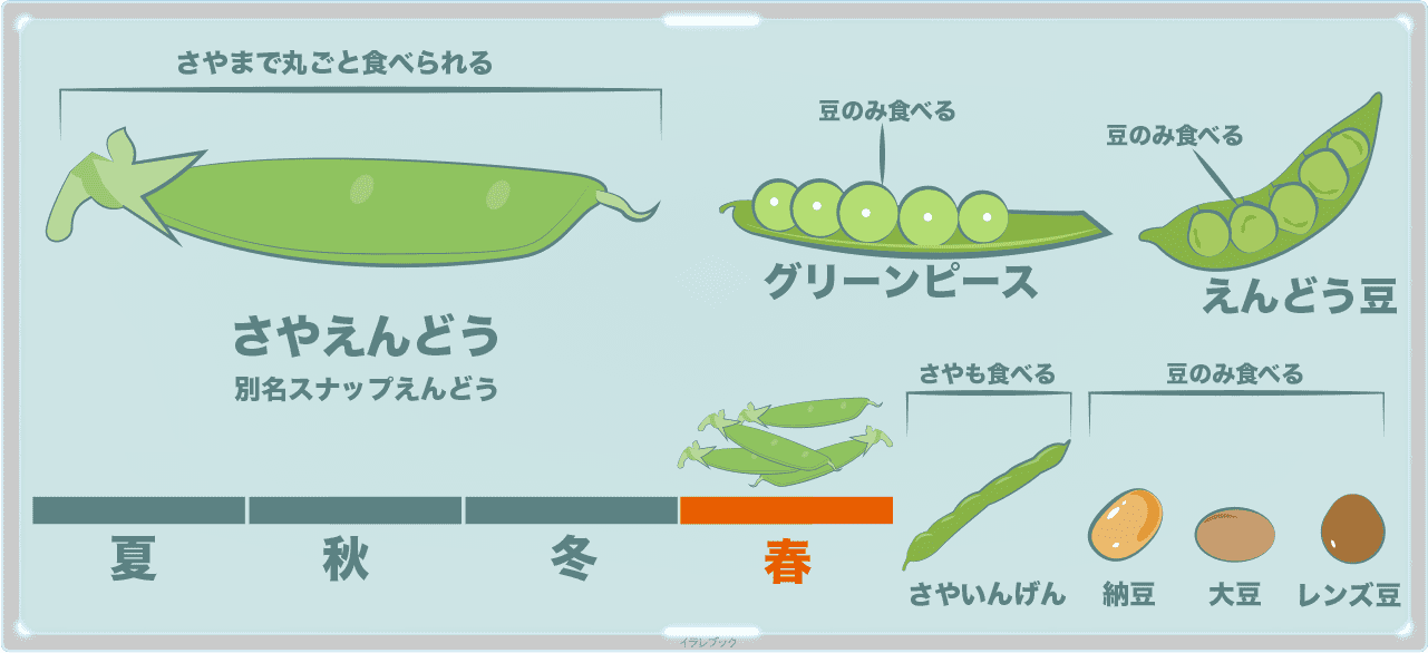 えんどう豆の名前の由来は？】さやえんどうの茹で時間とおすすめお菓子