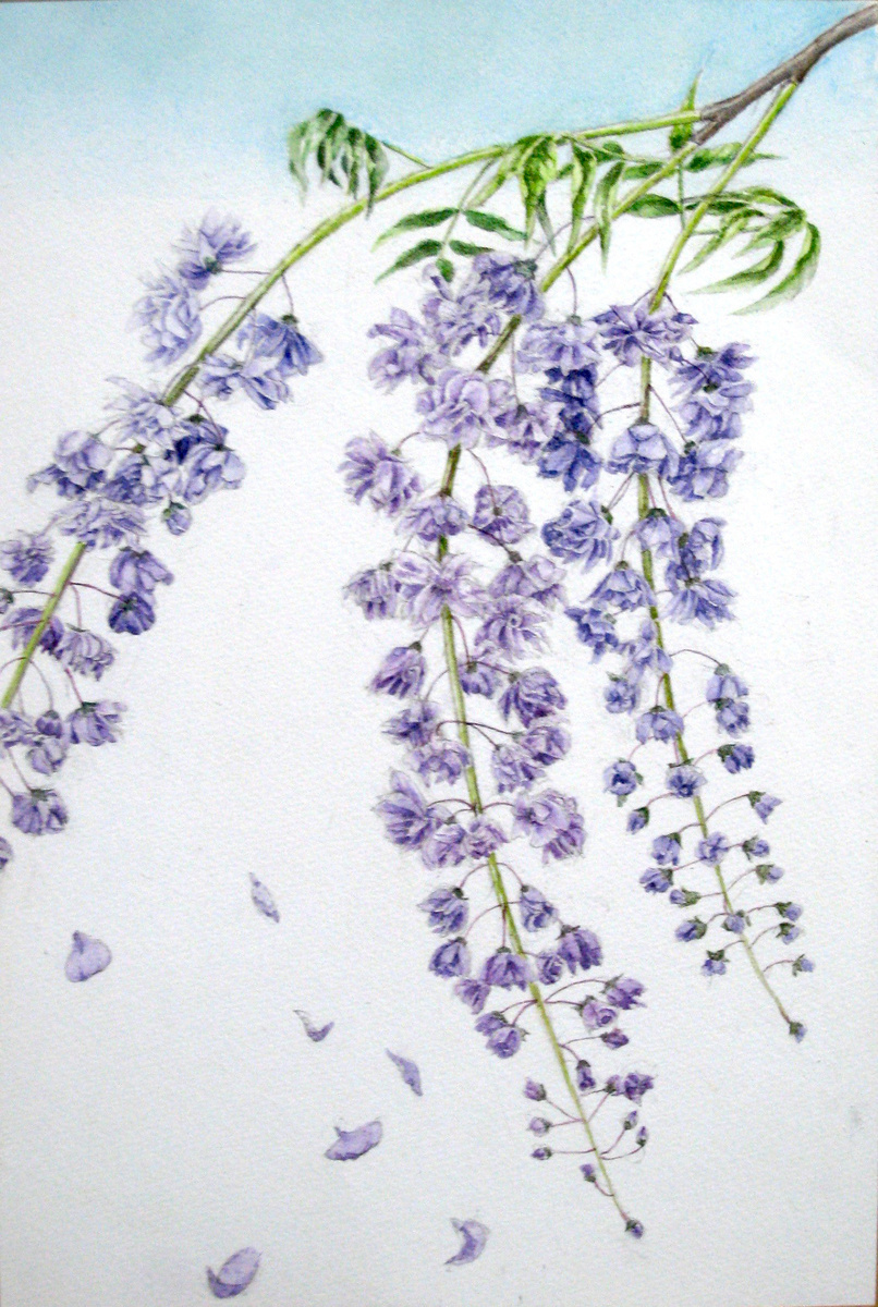 藤の花」 by Imai｜Artmeter｜暮らしを彩るアートが、きっと見つかる