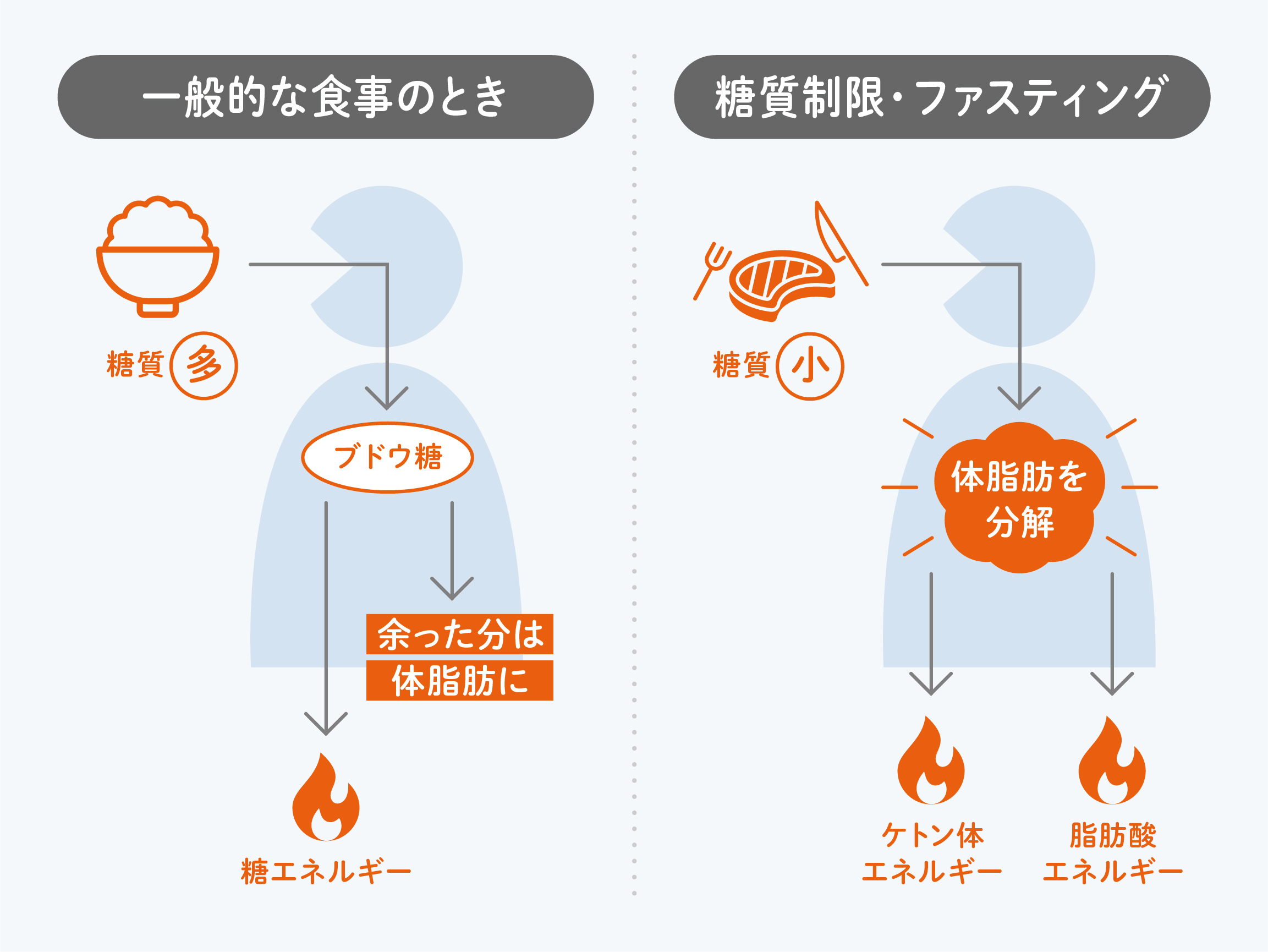 KETO SHOT PRO（ケト・ショット プロ）1箱10包x3箱|mdストア