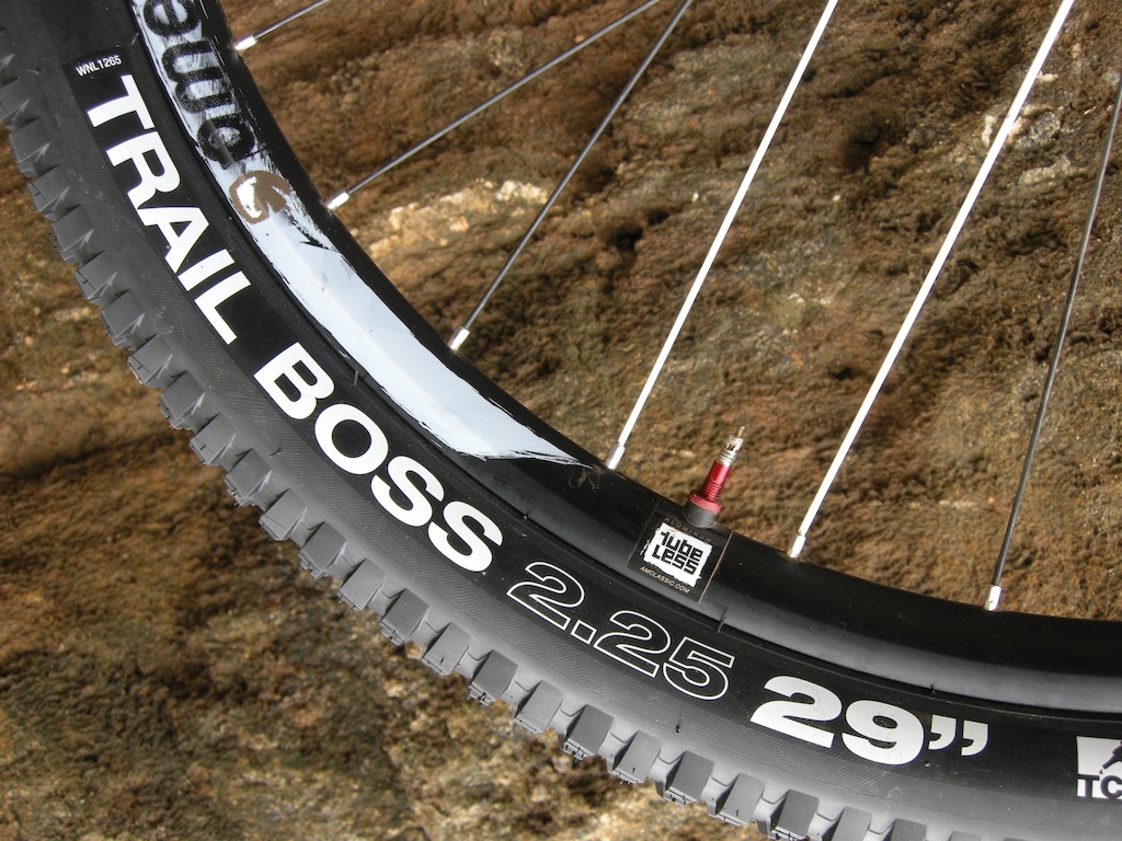 First Look: WTB Trail Boss Tire - Pinkbike