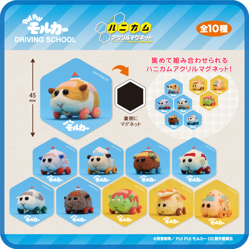 アイアップ公式通販】PUI PUI モルカー ハニカムアクリルマグネット