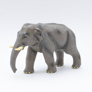 Favorite｜アジアゾウ ビニールモデル｜愛嬌とリアルな雰囲気が共存