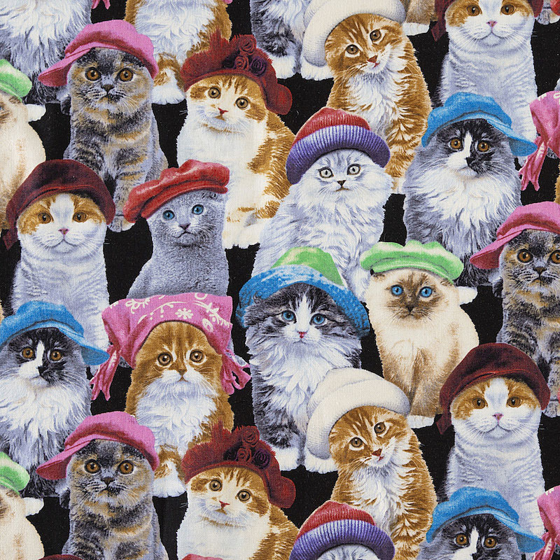 Fairy Cotton / 帽子を被ったネコ ブラック