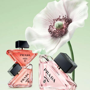 Prada Paradoxe Virtual Flower Prada perfume - a fragrância