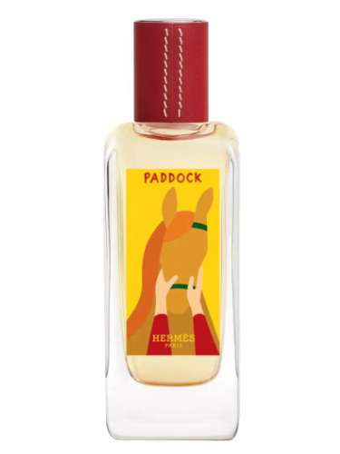 Paddock Hermès perfume - a fragrance for women and men 2024