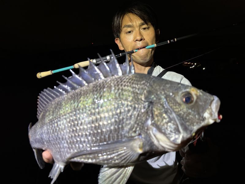 CANARIA AZORES81 (カナリア アゾレス81) - Fin‐ch