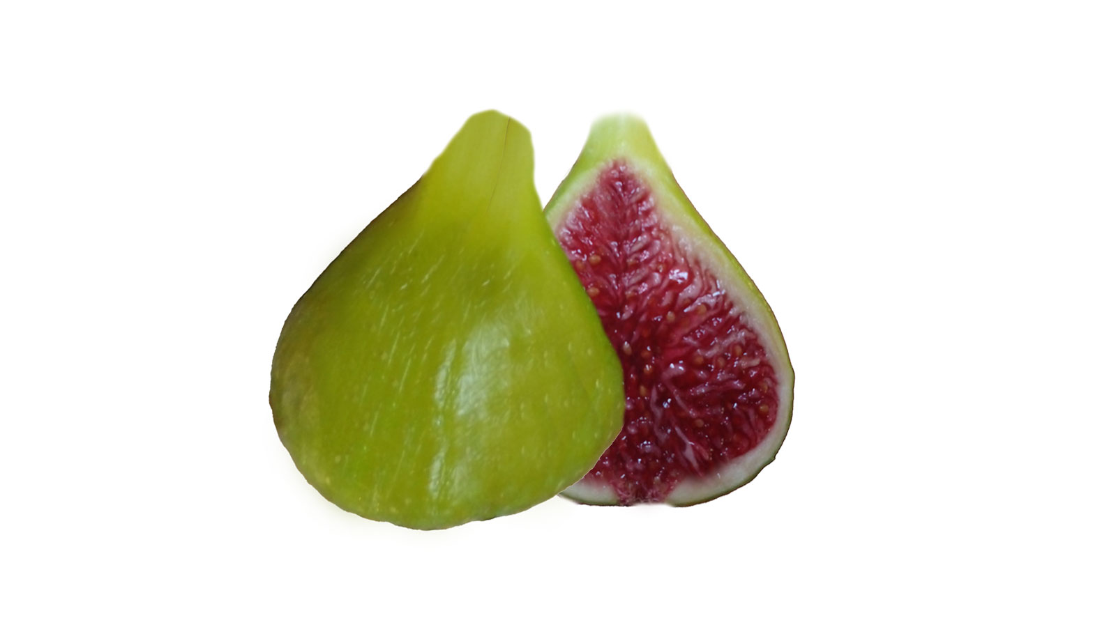 ④ くま様 グリーングリーク親株 ④ くま様 グリーングリーク親株