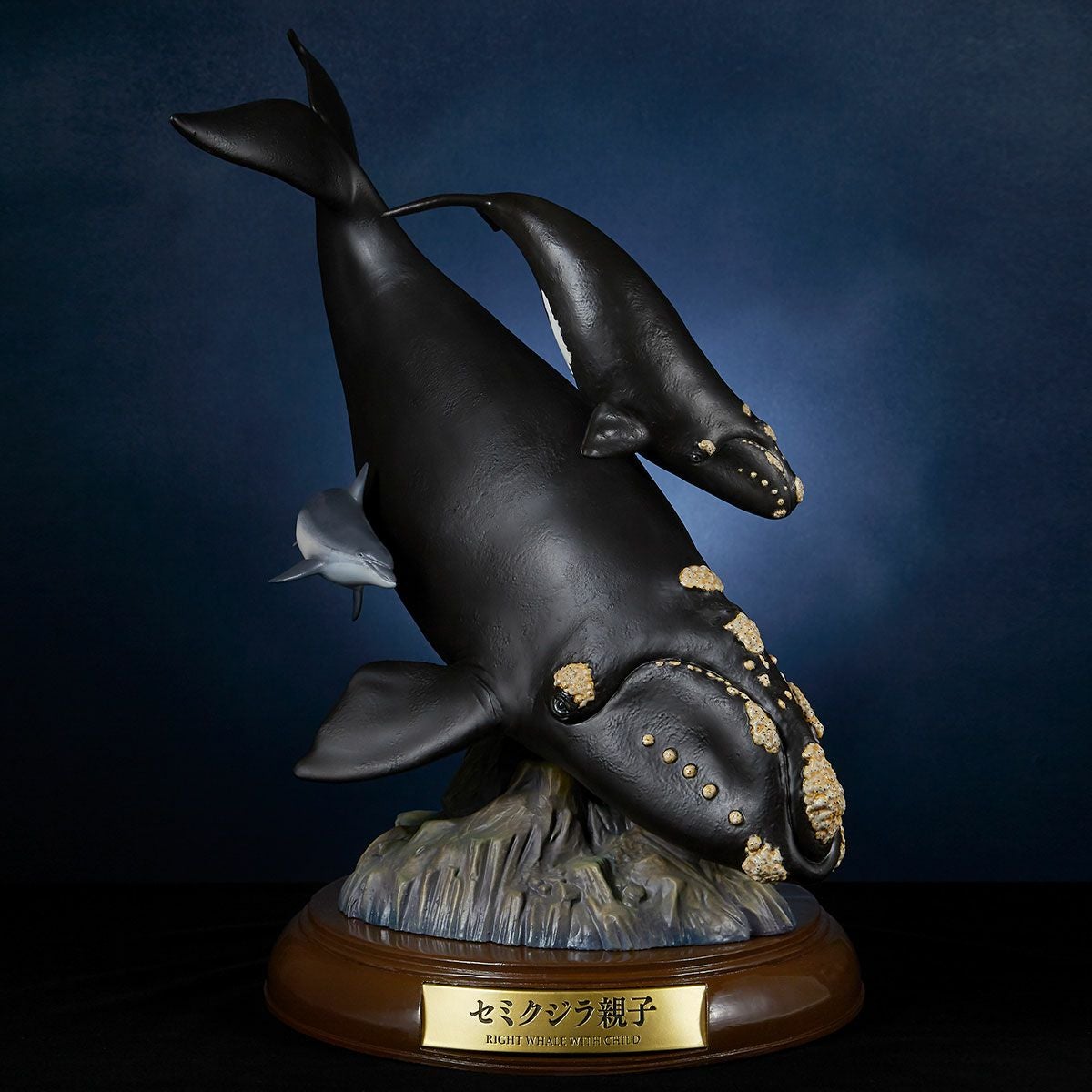 NATURE TALES セミクジラ親子[送料無料] | 海洋堂オンラインストア