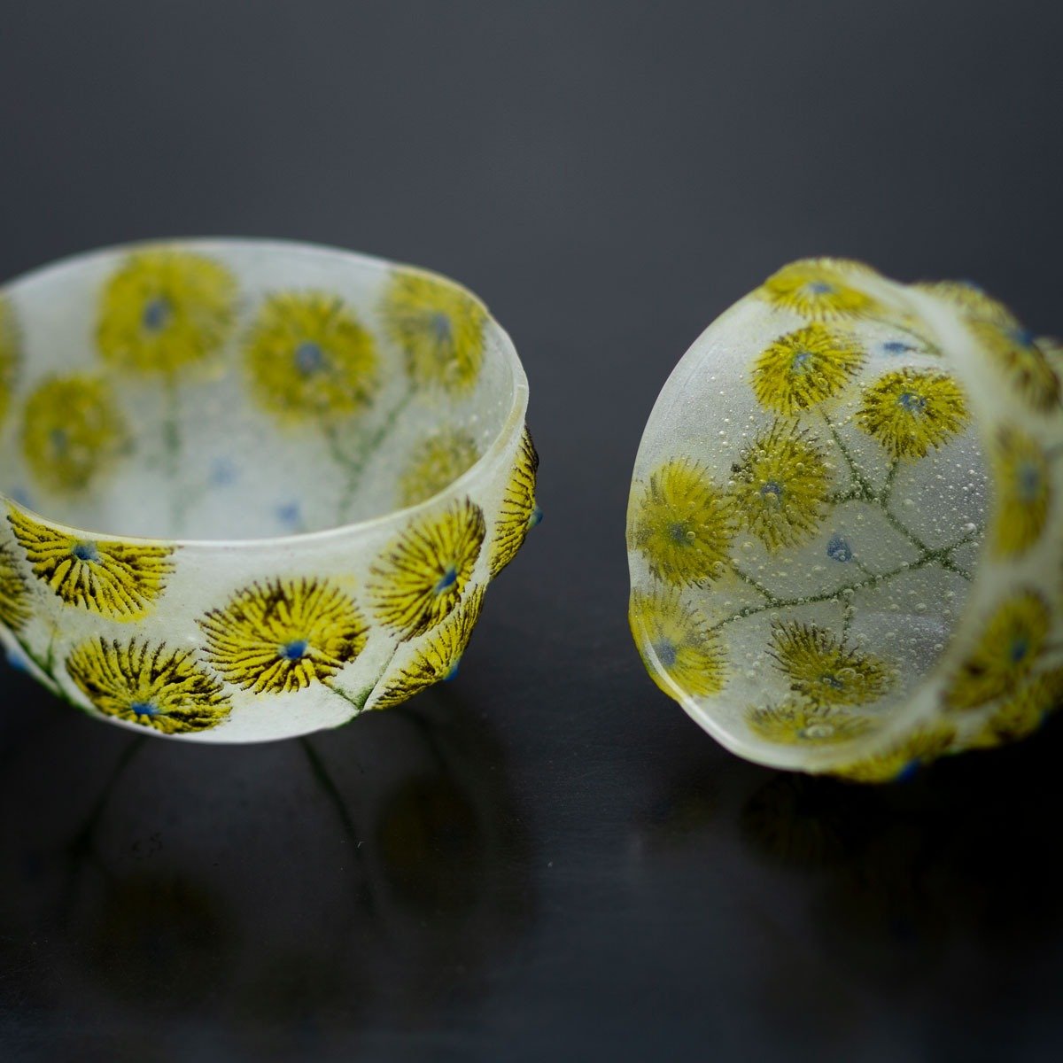 大室桃生 | 作家プロフィール | ひと | filament