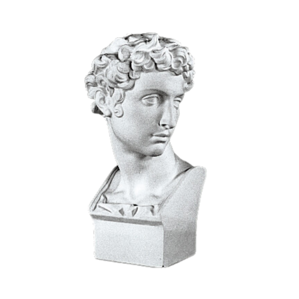 ジュリアーノ・メディチ胸像 | 美術出版エデュケーショナル | 図工