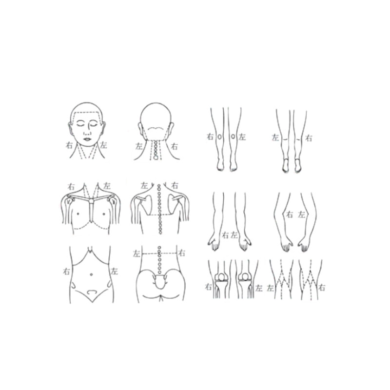 人体図 ゴム印 医療用 人体スタンプ セット カルテ用 鍼灸 関連商品の
