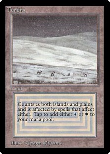 Tundra - マジック：ザ・ギャザリング土地カード Tundra マジック：ザ