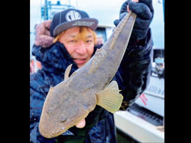 毛鉤 Toshio Brand 川釣り 毛鉤 Toshio Brand 川釣り