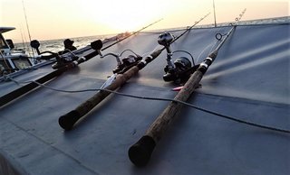 ゼナックのフォキート・イカリを徹底チェック！人気のオフショア