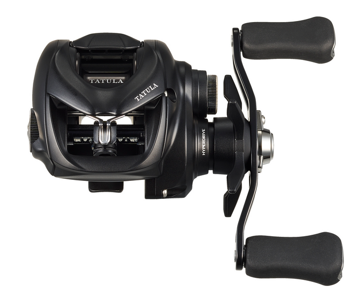 ダイワのベイトリール特集！2024年新登場モデル＋ソルトゲームに使って