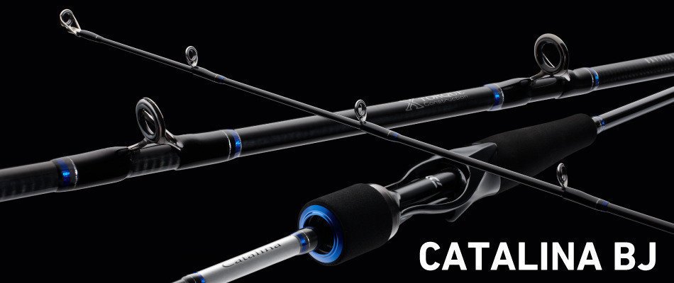 DAIWA CATALINA BJ 64B-3 ジギングロッド(AK) ダイワ キャタリナ ベイ
