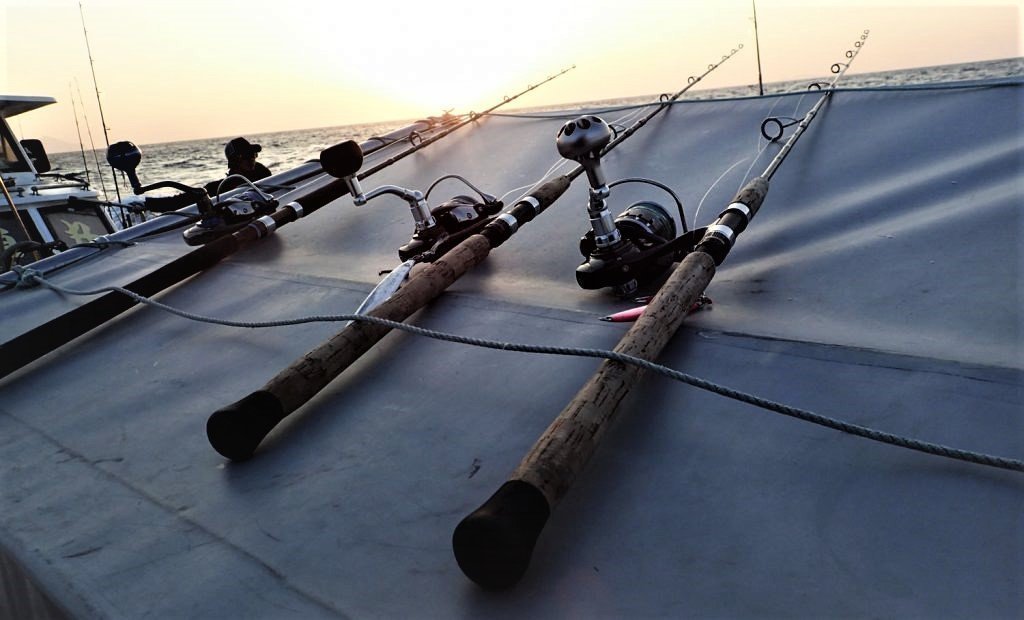 ゼニスの超人気ロッドを大調査！ゼニスこだわりのコルクグリップ仕様