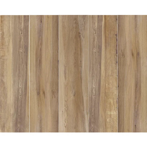 Arizona Tile - Aequa Series - 8