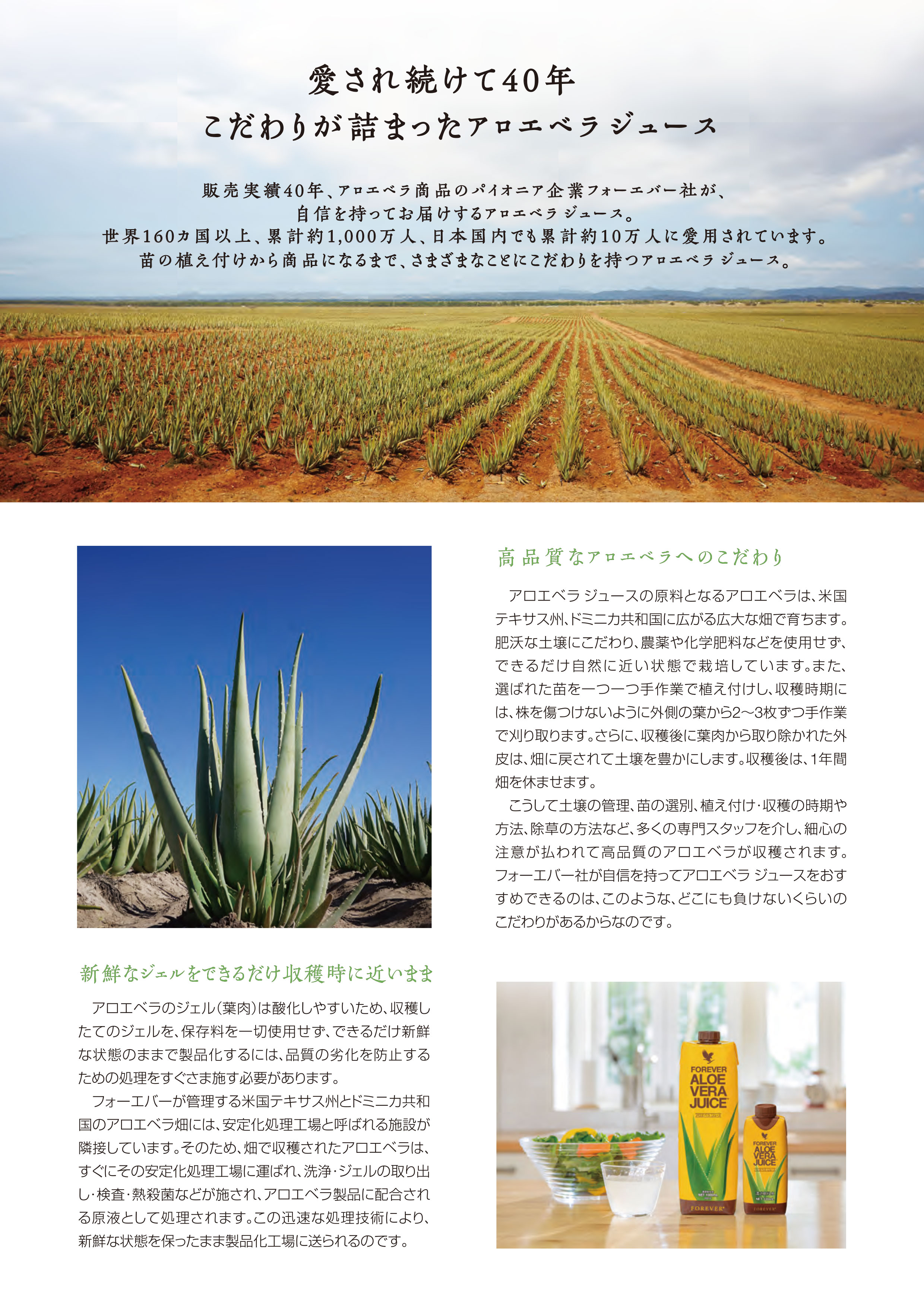 もっと！アロエベラ！330キャンペーン ｜ フォーエバーリビング
