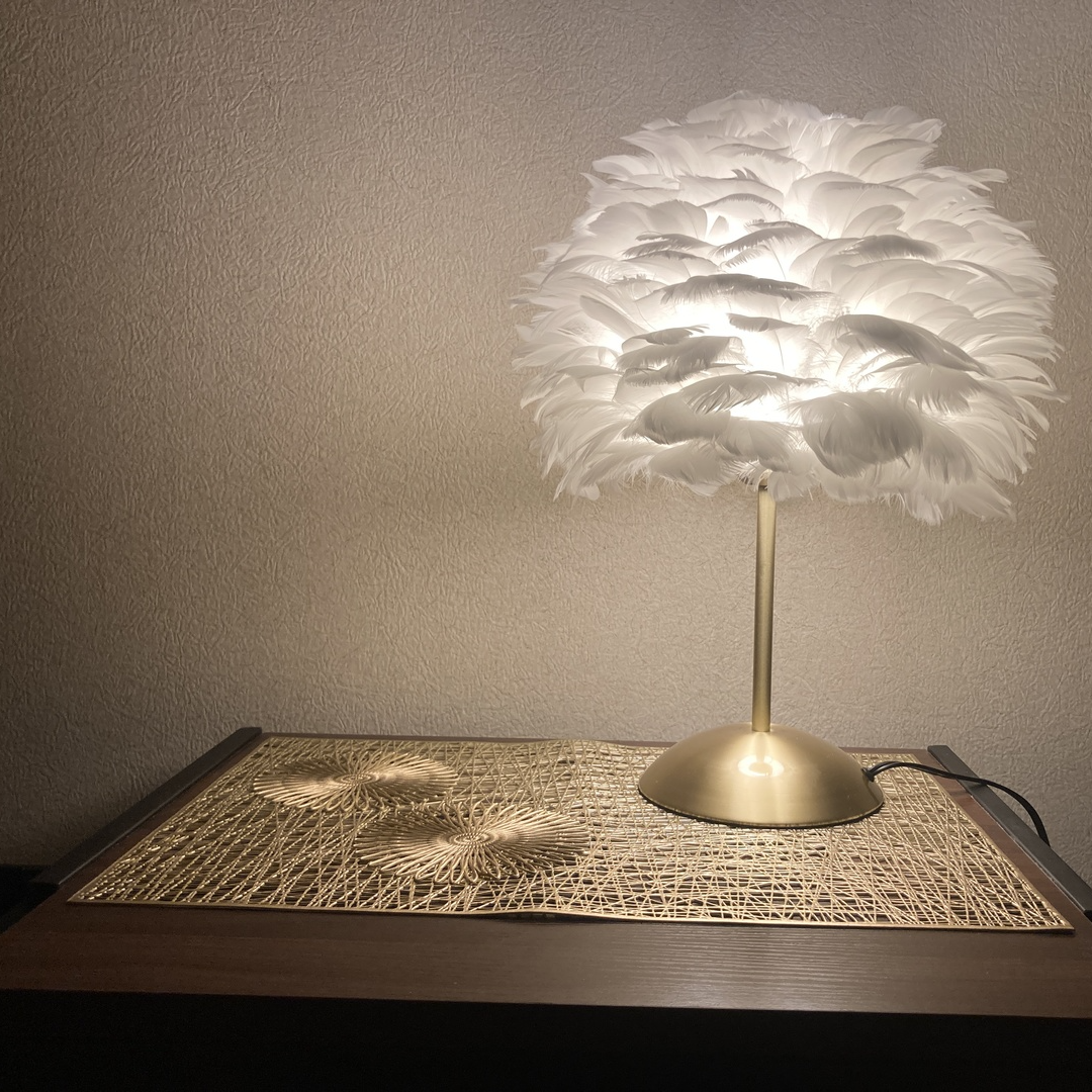 Francfranc マーブルヴェール シーリングランプ