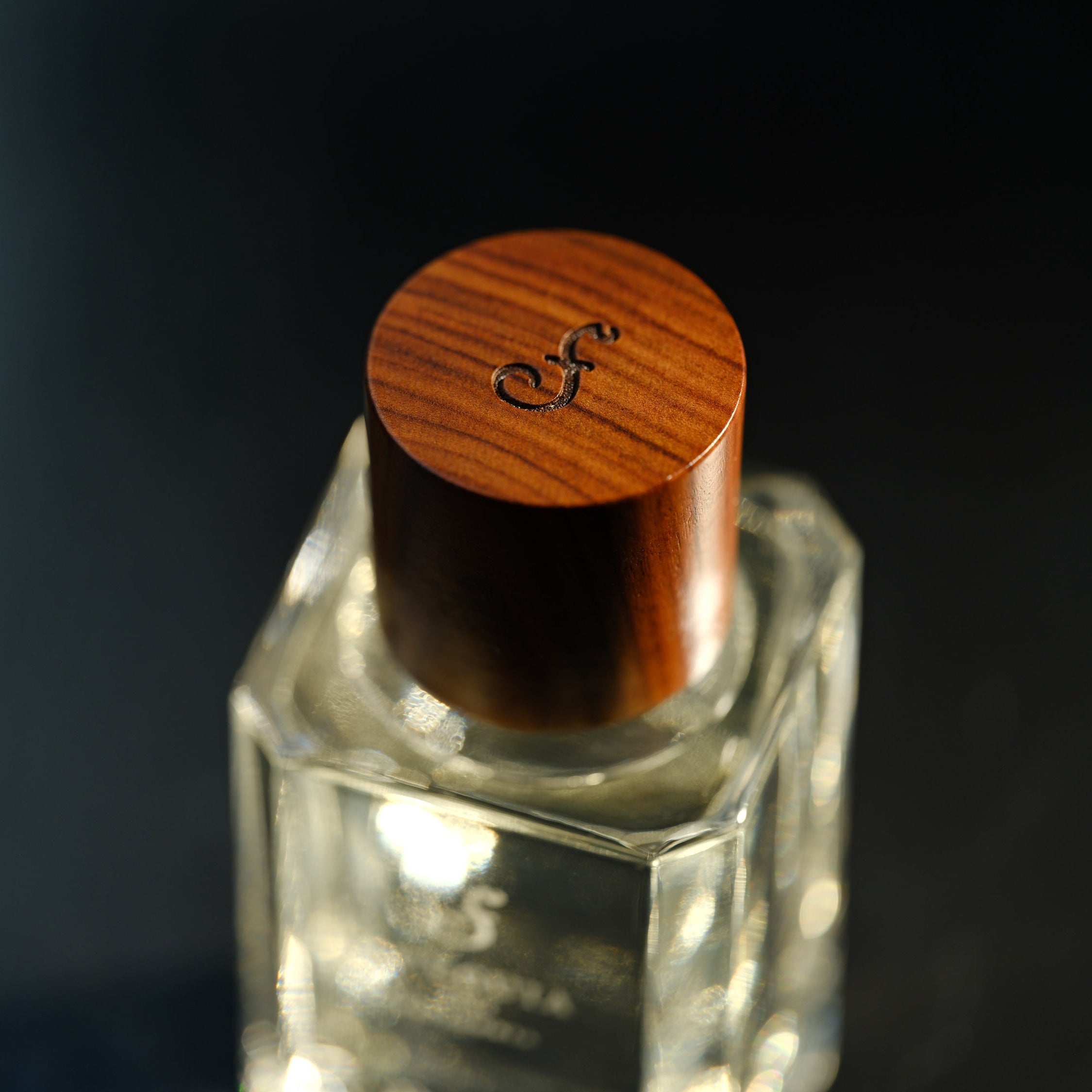 FUEGUIA 1833 | Humboldt｜フンボルト – FUEGUIA 1833 Japan Online