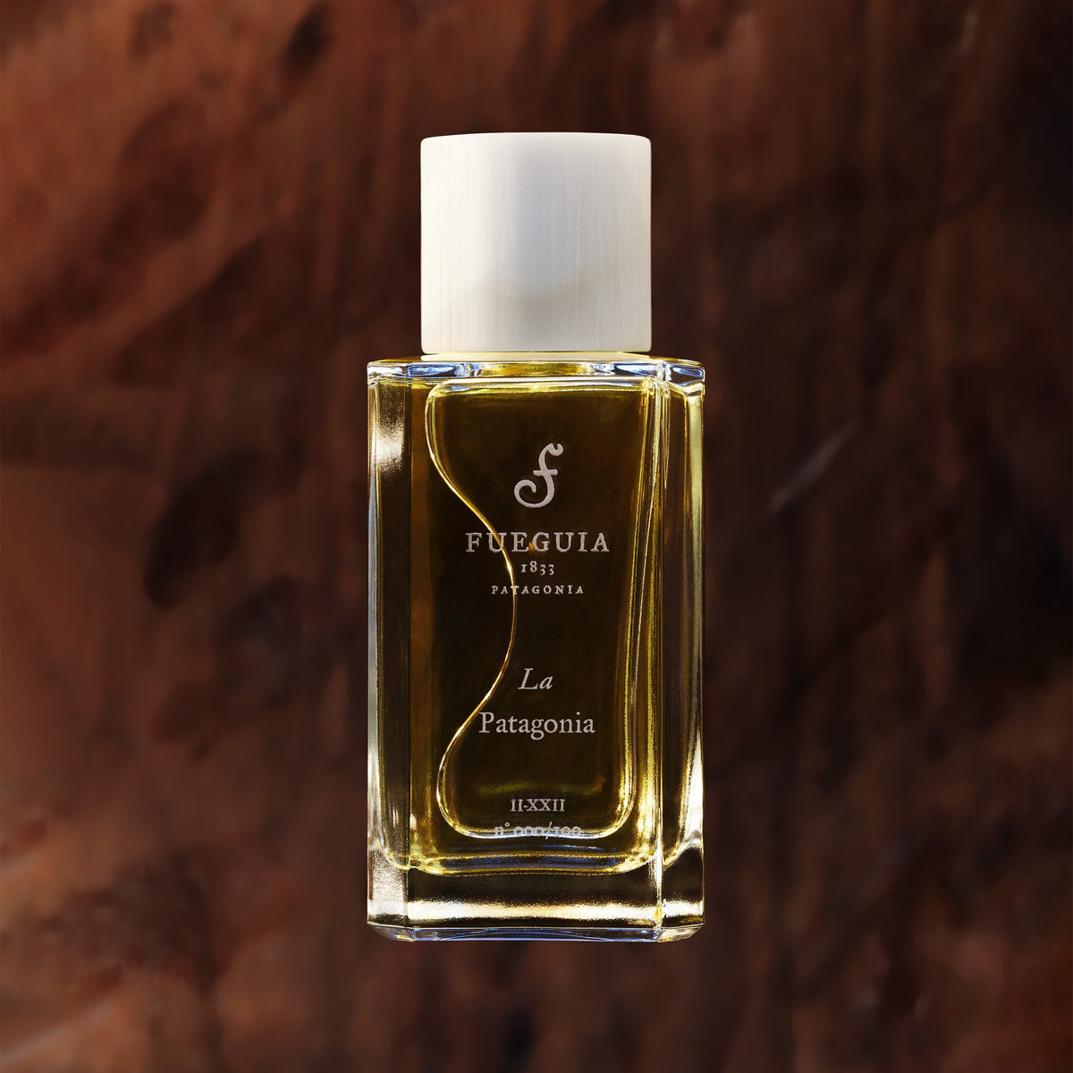 LaPatagonia_1200x1200_crop_cen