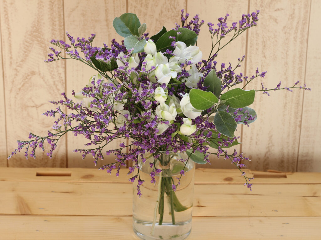 ブルーファンタジアシリーズのご紹介！ - 福花園種苗株式会社