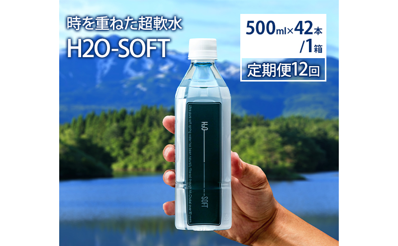 Life Essence. ミネラルウォーター 600ml✖️2 2本セット Life