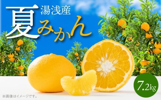 G7074_湯浅産 夏みかん 7.2kg｜マイナビふるさと納税