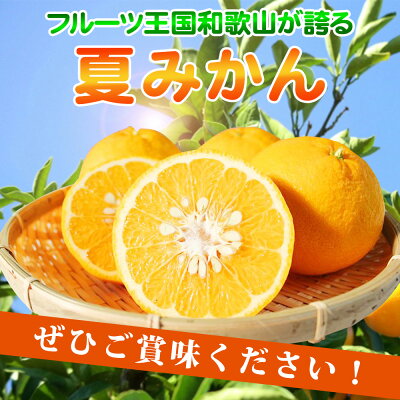 G7074_湯浅産 夏みかん 7.2kg｜マイナビふるさと納税