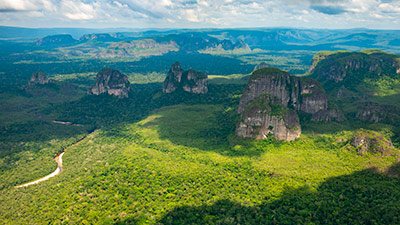 Białowieża Forest - Frankfurt Zoological Society