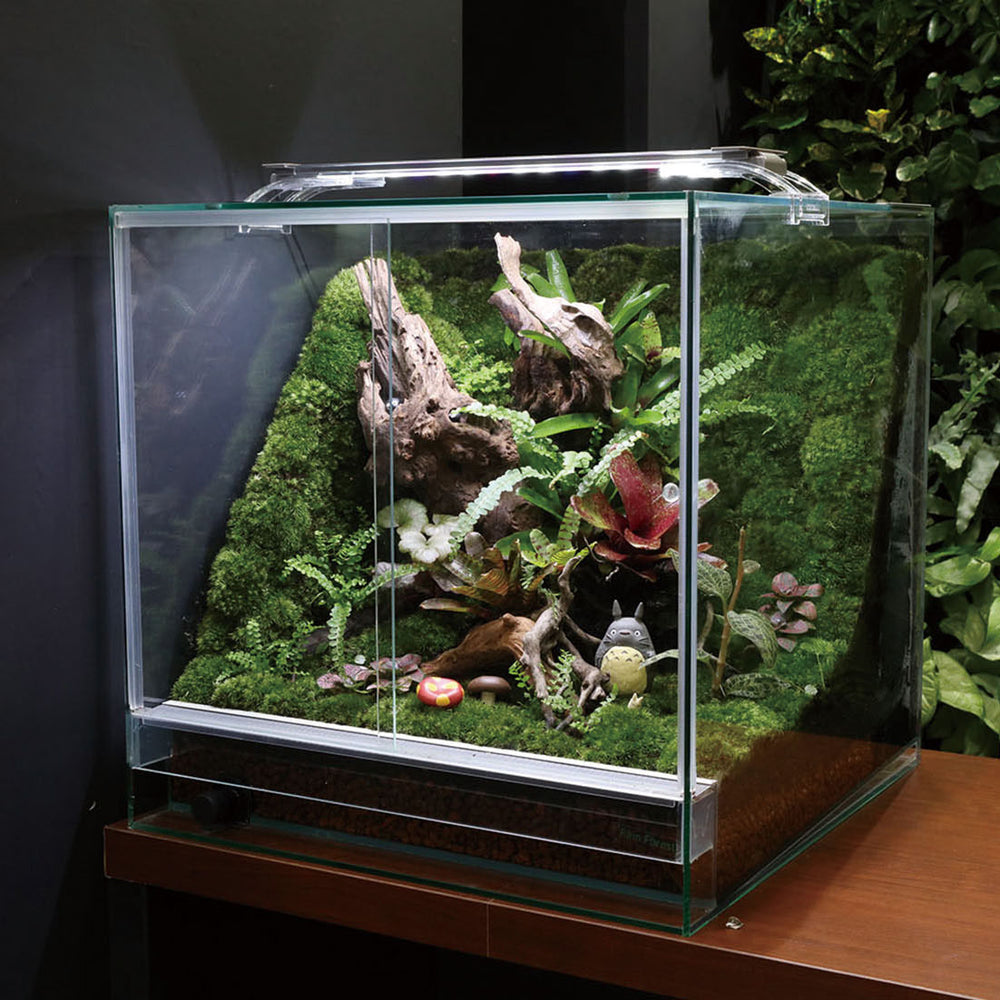 扉付きパルダリウム – G・LABO