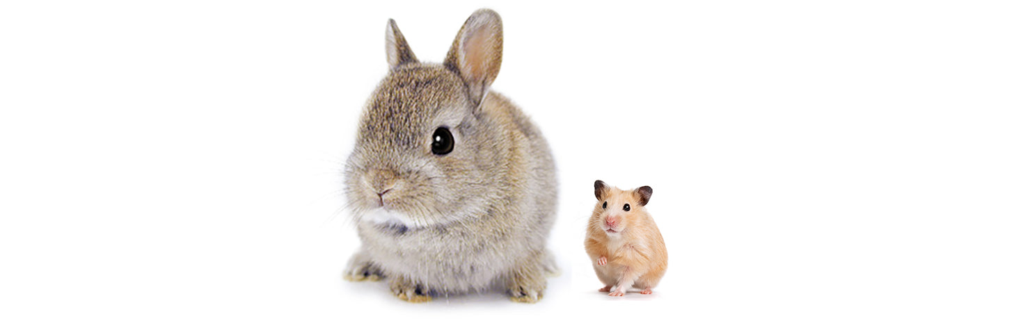 小動物用品パーツ | G-PET Online（ジェックス公式オンラインショップ