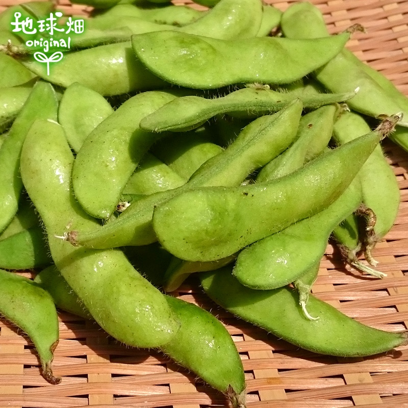 枝豆 150g 冷蔵便 発送期間6月～7月、10月中旬 | パック売り野菜