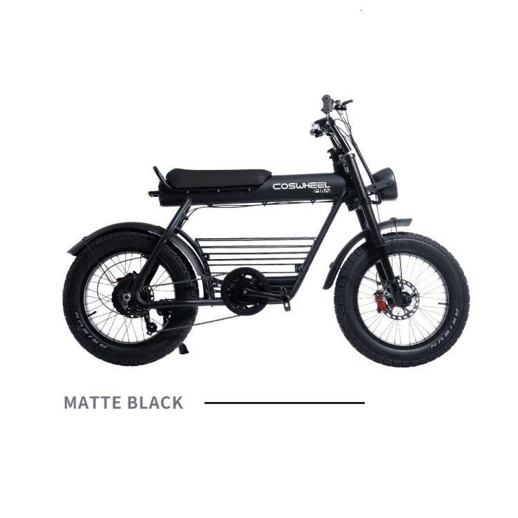 coswheel mirai s 手渡3万円割引 coswheel mirai s 手渡3万円割引