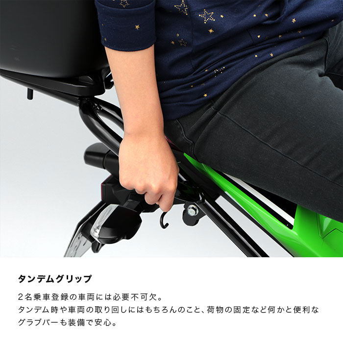 Ninja250('13.2～'18.1) タンデムグリップ付きリアキャリア