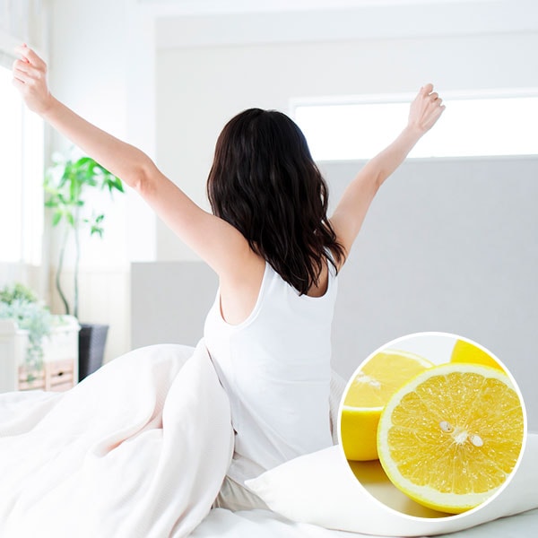 特集】新生活応援｜エッセンシャルオイル（精油・アロマオイル）の通販