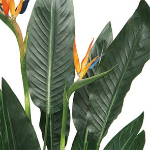 フェイクグリーン ストレチア1300｜フェイクグリーン・人工植物 専門店