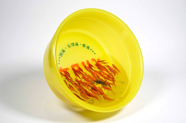 深堀隆介作品集 平成しんちう屋｜求龍堂