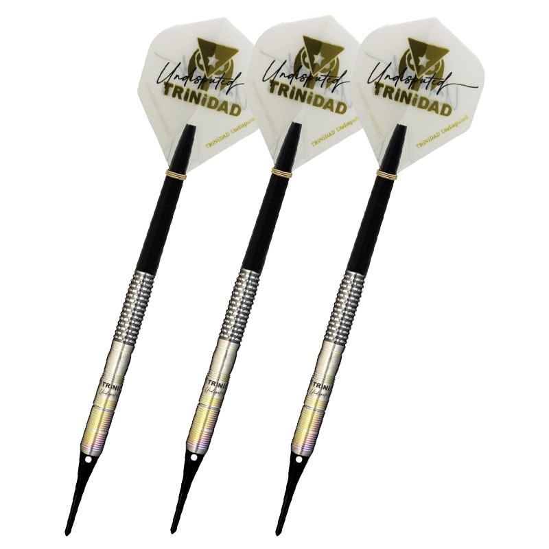 HUGO TYPE2 S-darts限定版 トリニダード ダーツ TRiNiDAD Undisputed