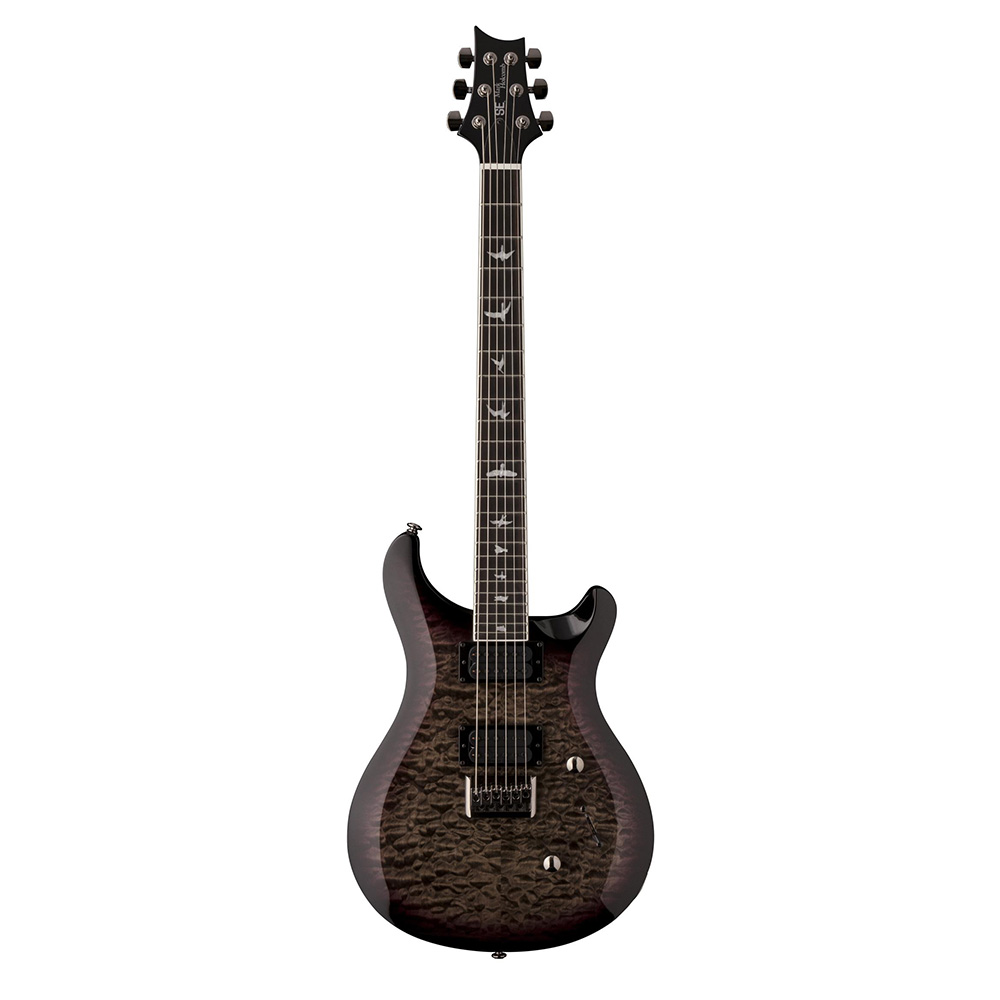PRS SE Mark Holcomb Burst (2018) – Guitar Compare