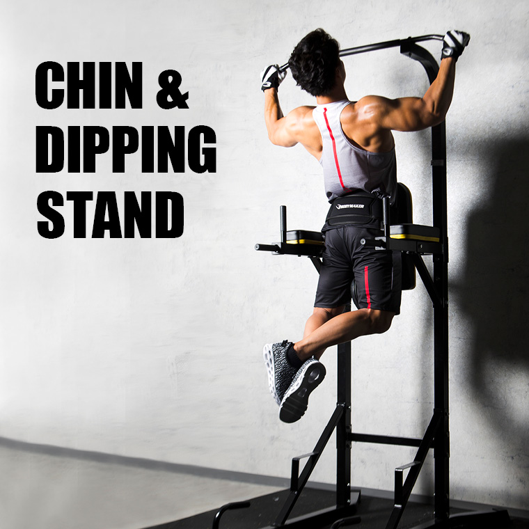 チン＆ディッピングスタンド（中古品）｜トレーニングマシンのレンタル