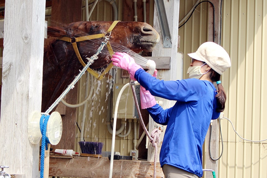 ニッサ・ホースガーデンで乗馬の魅力を調査 | ハマラボ[ハママツ研究所