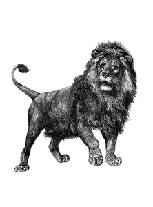 Cape Lion Print – Handdruck